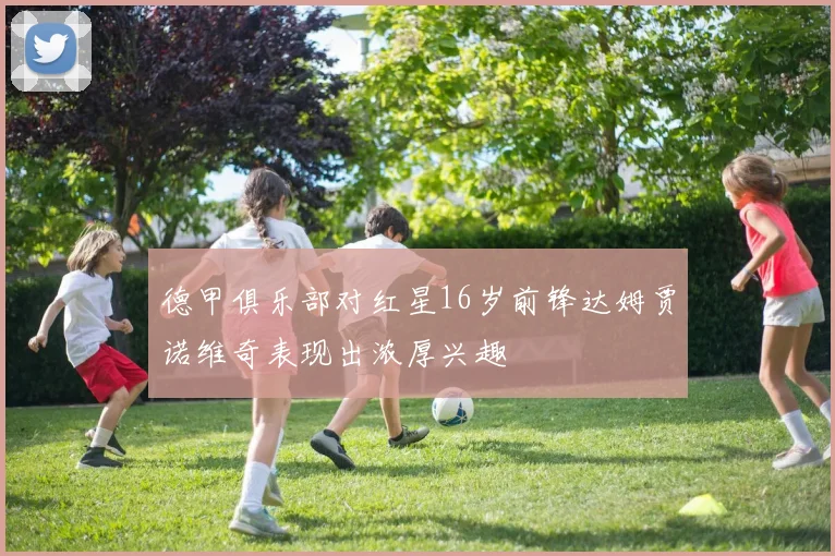 德甲俱乐部对红星16岁前锋达姆贾诺维奇表现出浓厚兴趣